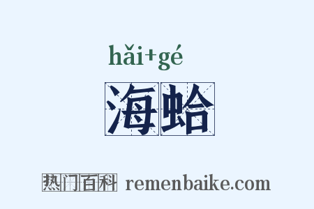 海蛤是什么意思的图片